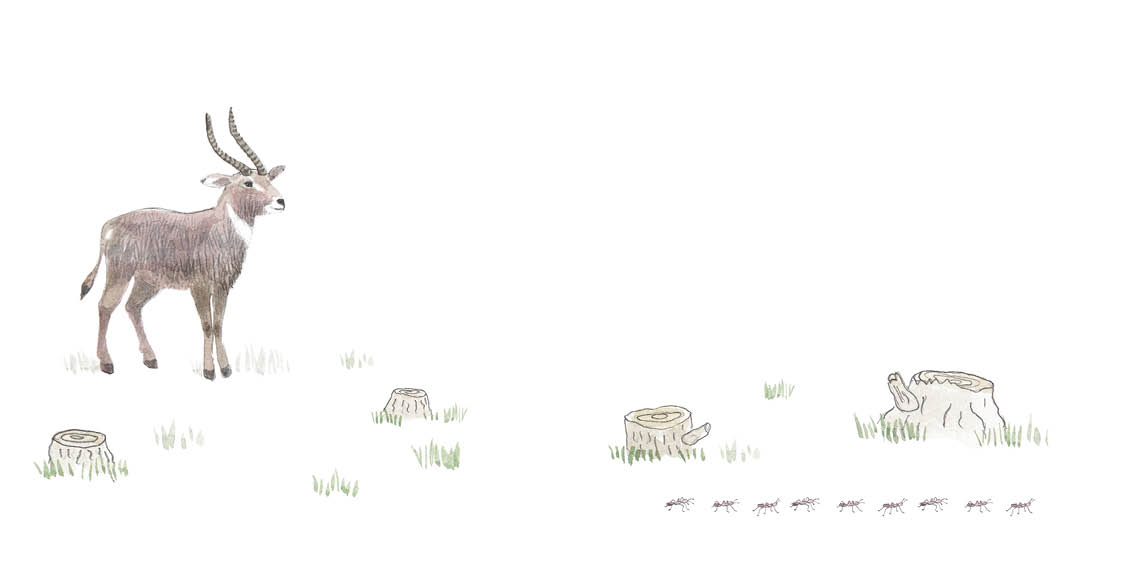 A single buck stands in a barren field.