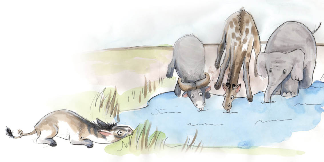 Donkey examines Buffalo, Giraffe and Elephant across the watering hole.